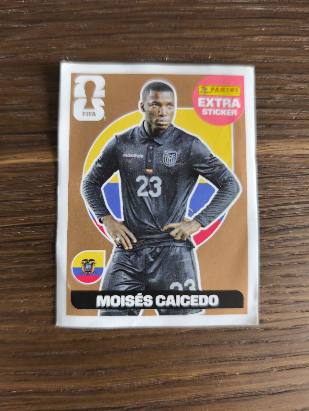 Panini Carte collezionabili: Panini WM 2026 Extra Sticker Moisés Caicedo Regular – Nuovo (secondo la descrizione) da Thalwil venduto da Dandy779