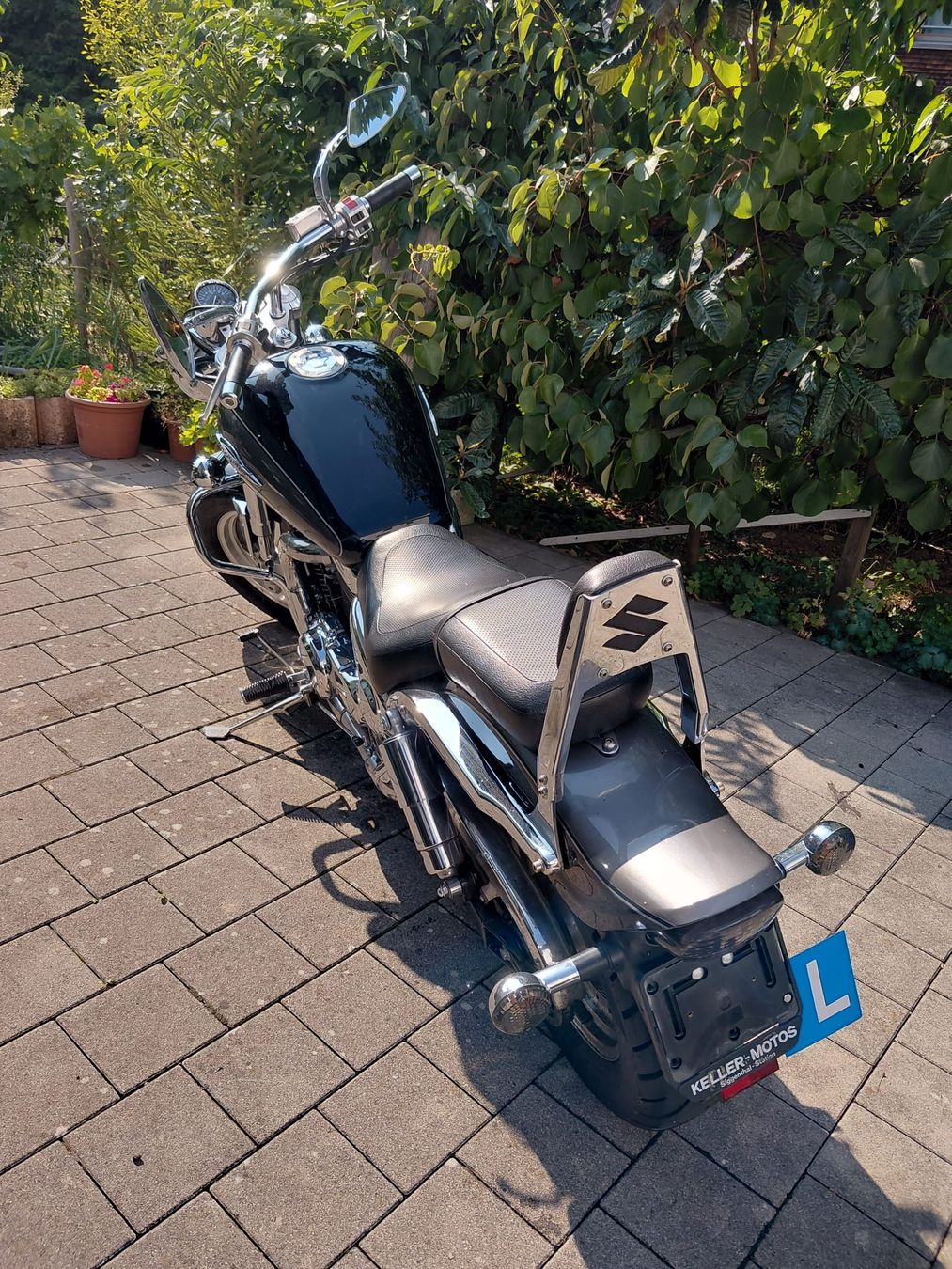 Suzuki Chopper: Motorrad Suzuki VZ 800 – Gebraucht aus Flums von picowil 3