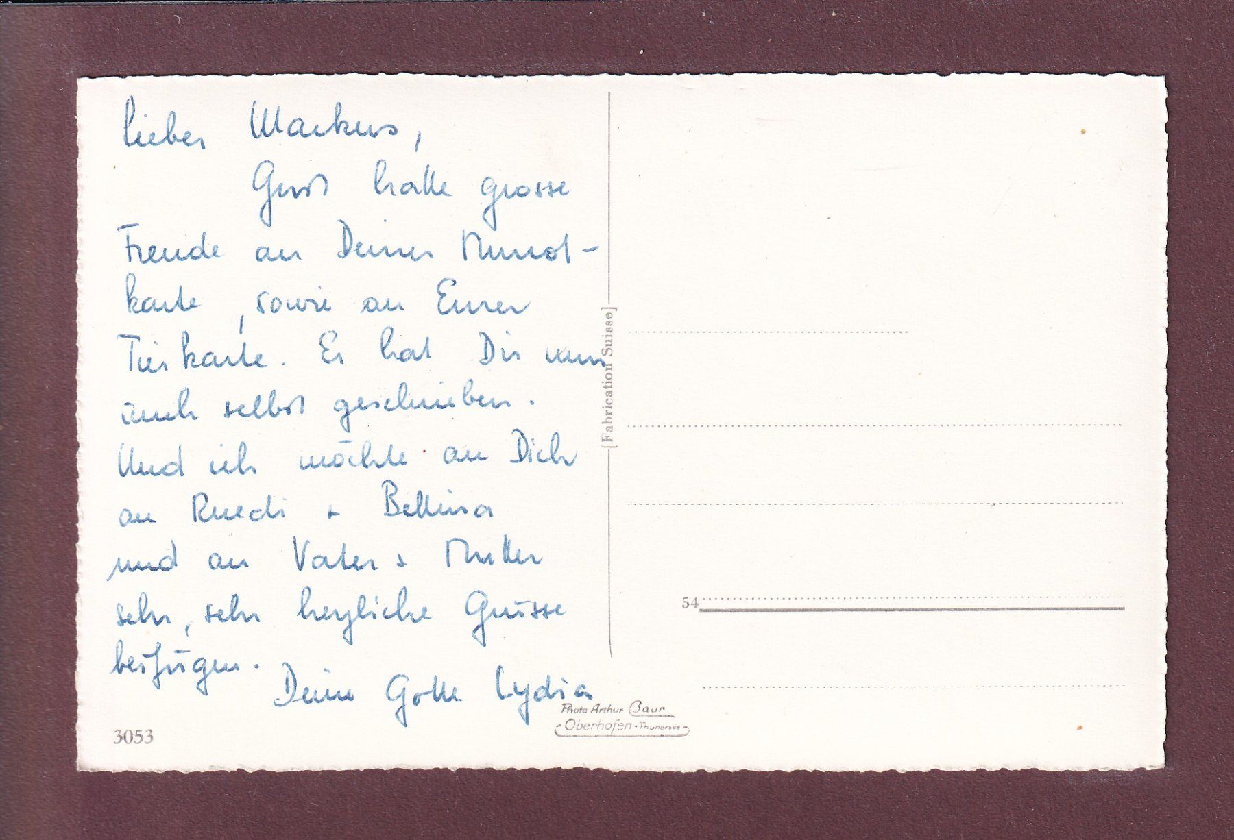 Cartoline postali: THUN - Schwäne am Aarebassin – Usato da Pully venduto da nicecards 1