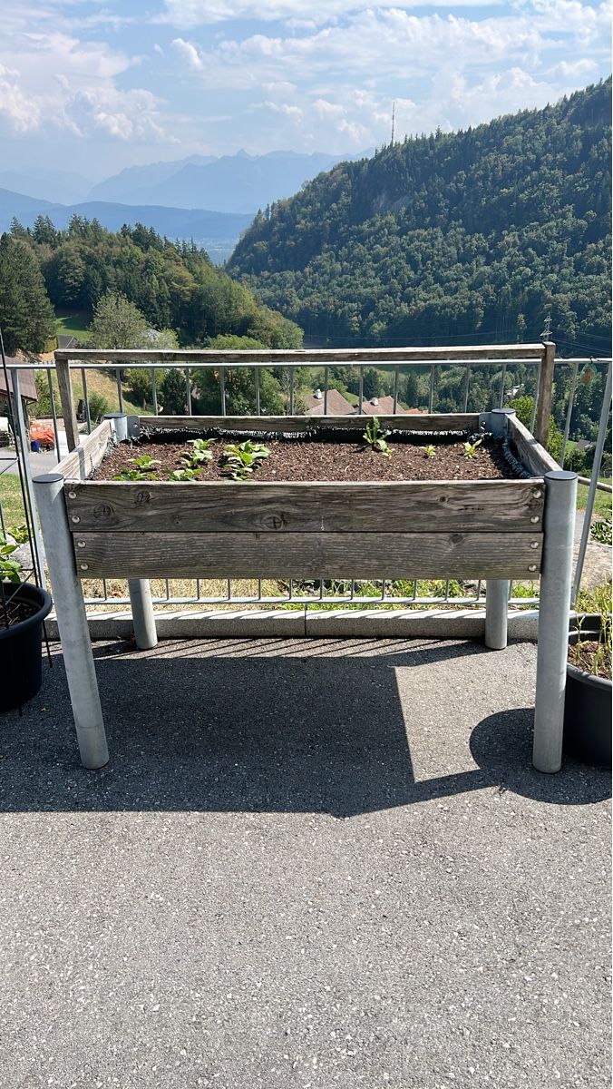 Pots de fleurs: Hochbeet Holz Metall gebraucht – D'occasion à Oberriet SG par Subi2011