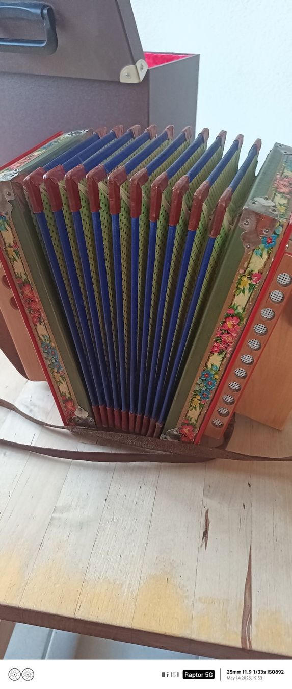 Strumenti musicali: Stöpsel Örgeli – Usato da St.Gallenkappel venduto da qwertzuiop12345 2