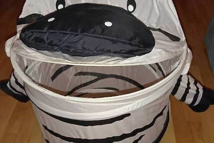 Cassapanche: Coffre à linge zèbre – Usato da Ste-Croix venduto da tougaz