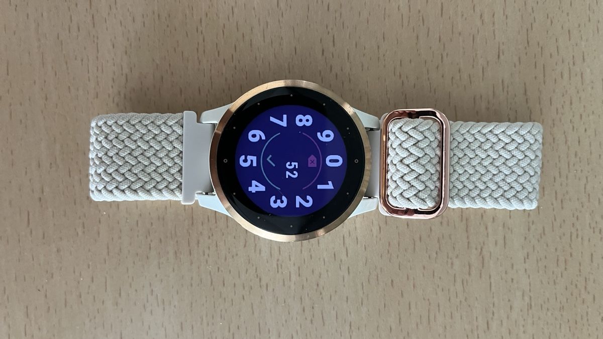 Garmin Smartwatch: GARMIN VIVOACTIVE 4 – D'occasion à Bergdietikon par Papageischtli 1