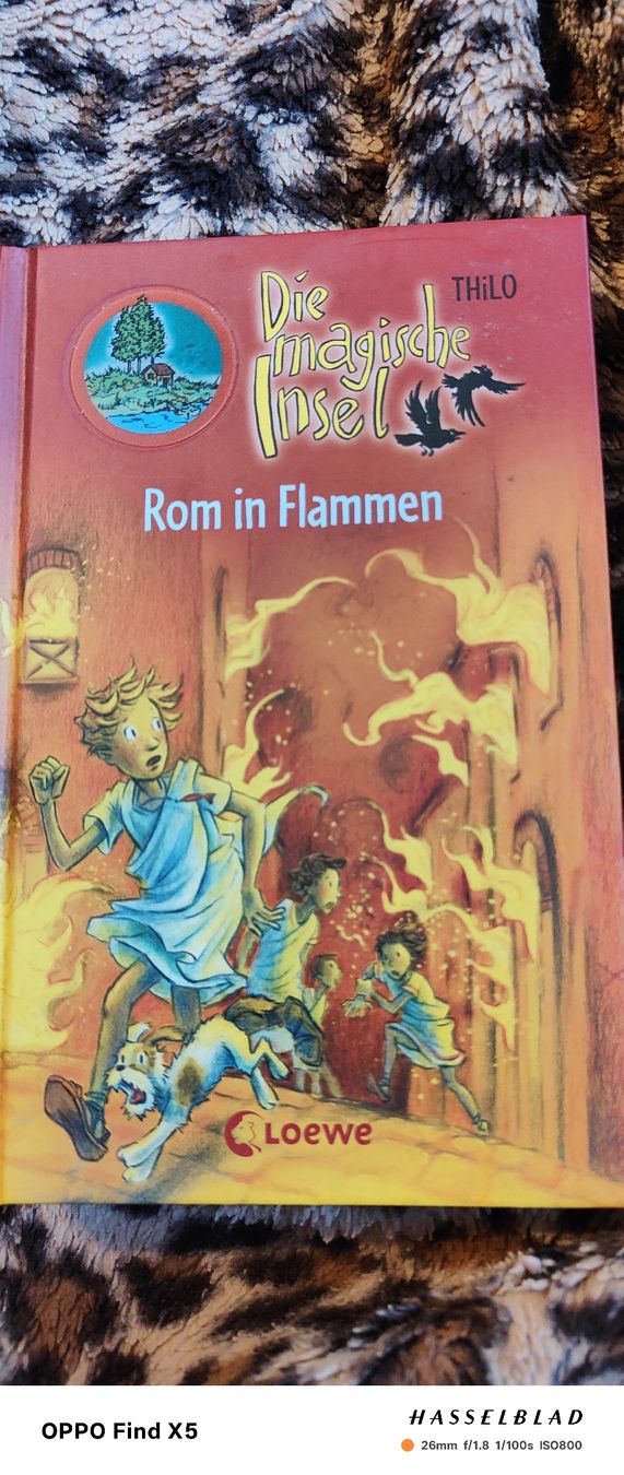 Libri: Rom in Flammen – Usato da Volken venduto da katz5