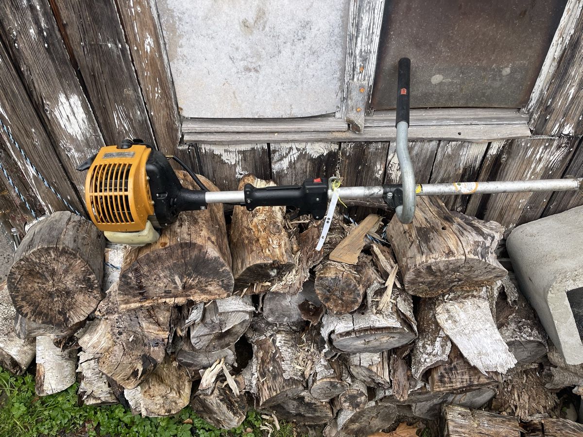 Tagliaerba: Gebrauchter Rasentrimmer – Usato da Bern venduto da SVTools 4