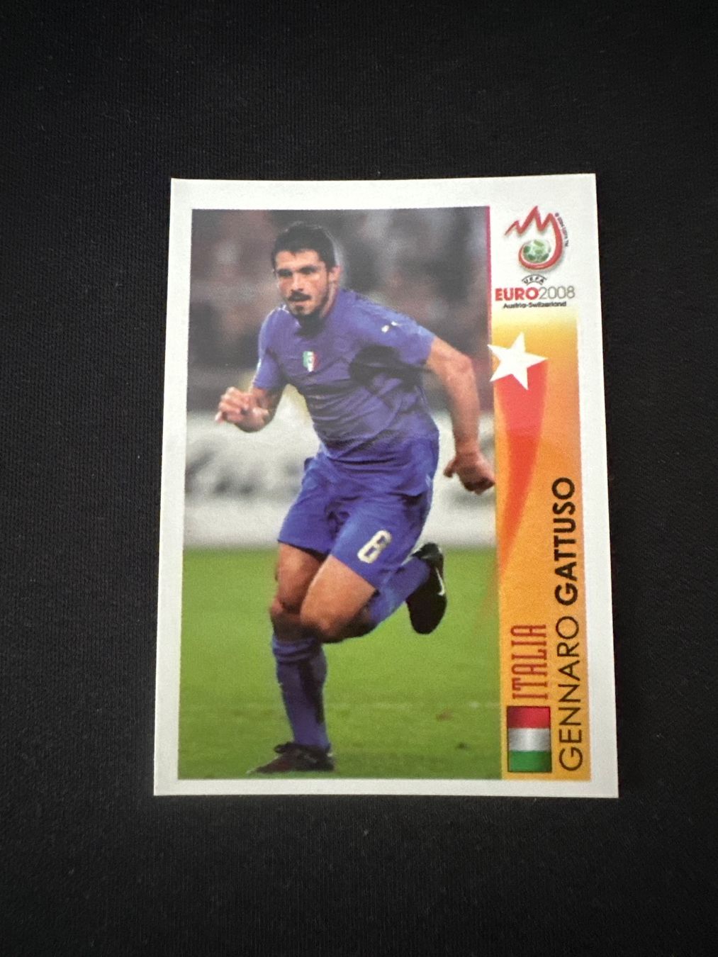 Panini Carte collezionabili: Panini UEFA EM 2008 Sticker - Nr. 489 – Usato da Sulz AG venduto da DealWerk