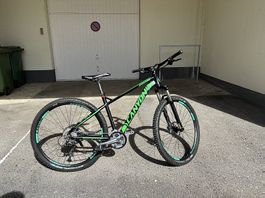 Canyon Speed 59 Mountainbike gr. M 29 Zoll