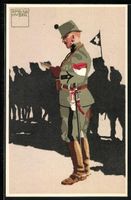Schweizer Felduniform, Neue Ordonnanz, M