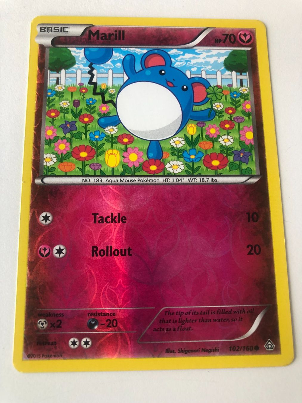 Pokémon Carte collezionabili: Pokemon Marill von 2015 – Usato da Bassersdorf venduto da sammelfloh