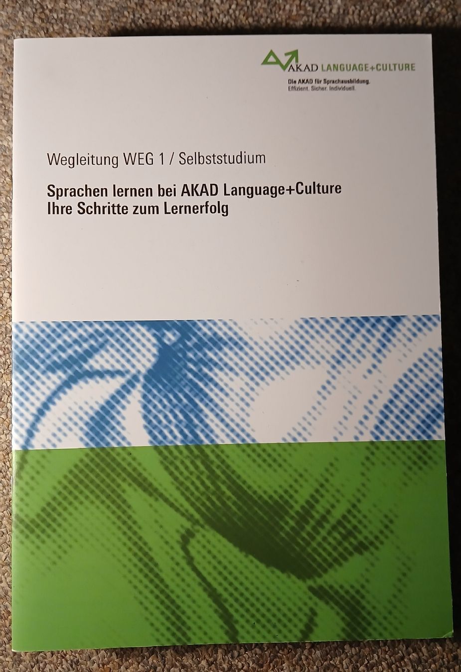 Libri: AKAD Language+Culture, Französisch B2 – Usato da Oberrieden venduto da sib_nkf6