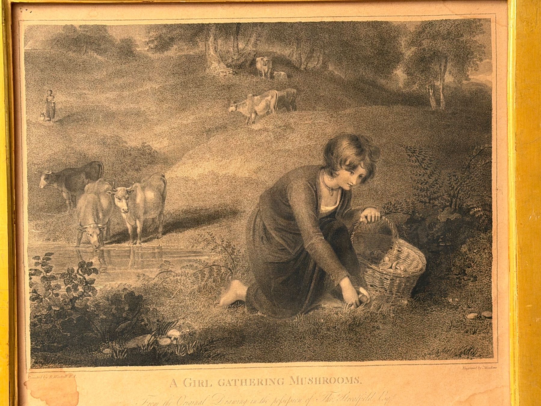 Dipinti: 1800 Gravur von Robert Mitchell Meadows British Museum – Usato da Basel venduto da PAUL_ART 1