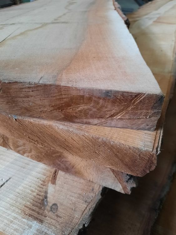 Articoli in legno: Nussbaum Klotzbretter-Stamm – Usato da Chur venduto da ivon68 7