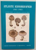 Pilzbuch Atlante Iconografico 1981-1983 italienische Sprache