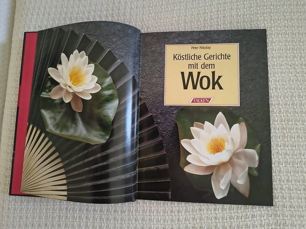 Libri: Kochbuch "Köstliche Gerichte mit dem Wok" – Usato da Allschwil venduto da droledezebre 2