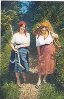 Costumi Ticinesi