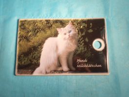 Frühstücksbrettchen, Milchkätzchen, Porzellan Meissen