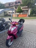 Daelim NS 125 / Frisch ab MFK jedoch Defekt