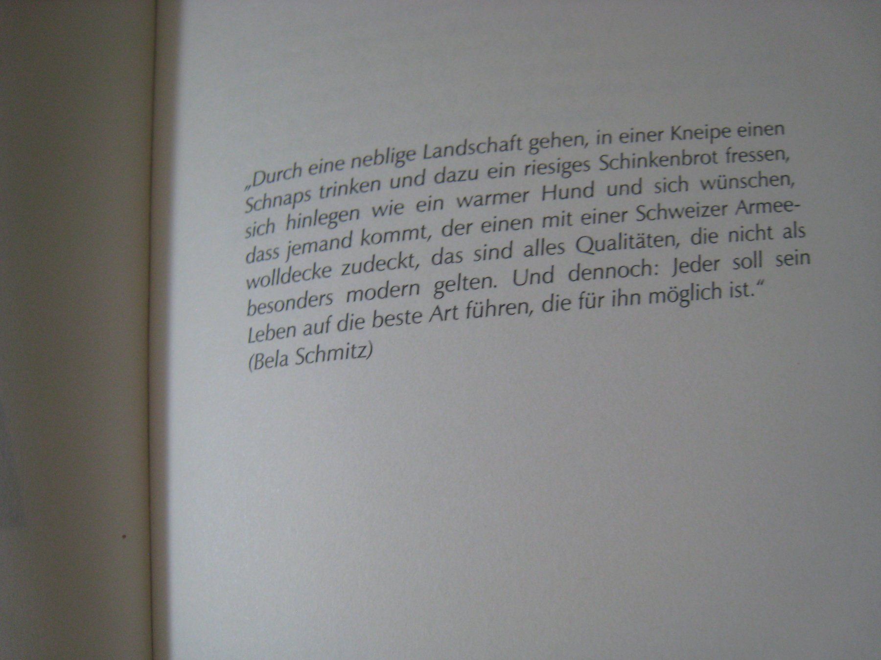 Libri: Michael Stauffer Pilgerreise Roman     mit CD – Usato da Dättlikon venduto da Mamakuga 5