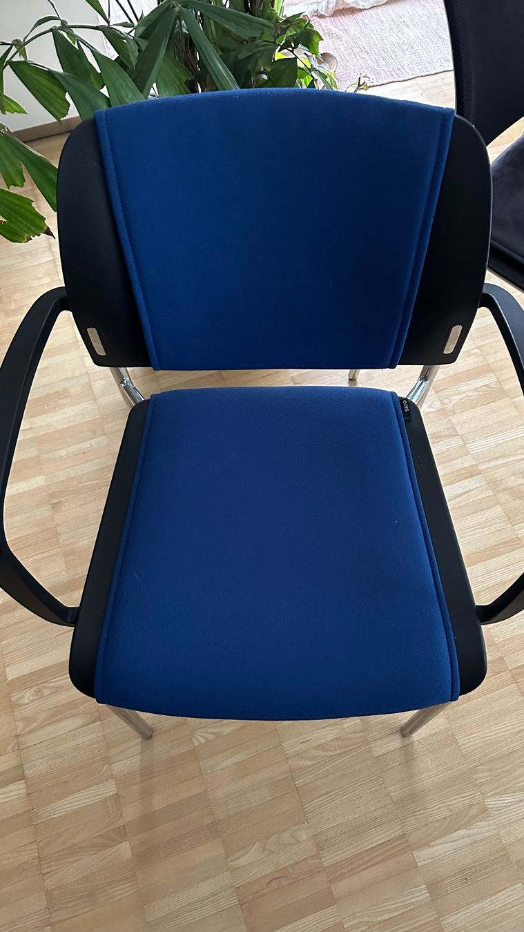 Sedie: Chaise Sato neuve (bleue) – Nuovo e nell'imballaggio originale da Bern venduto da Evo99