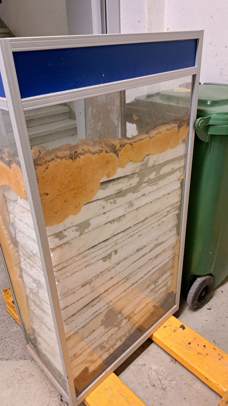 Terrario: Terrarium – Usato da Oberentfelden venduto da Myri13 4