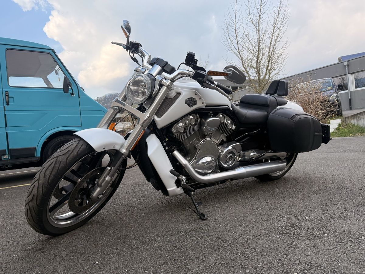 Harley-Davidson Chopper: Harley Davidson VRSFC V-ROD – Usato da Val-d'Illiez venduto da LuckLuc 2