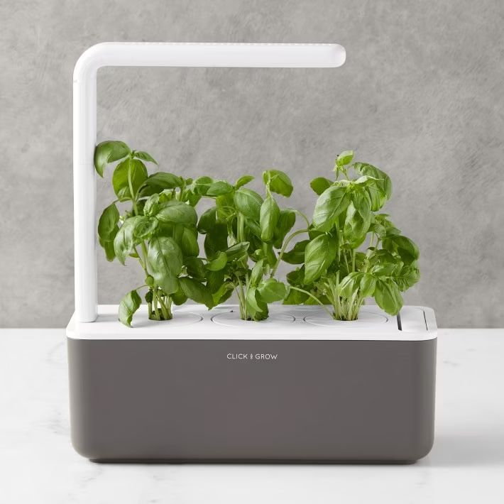 Growbox Sonstiges: Smart Garden from Click and Grow – Gebraucht aus Basel von madinanana
