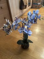 Orchidee Blue 40 cm