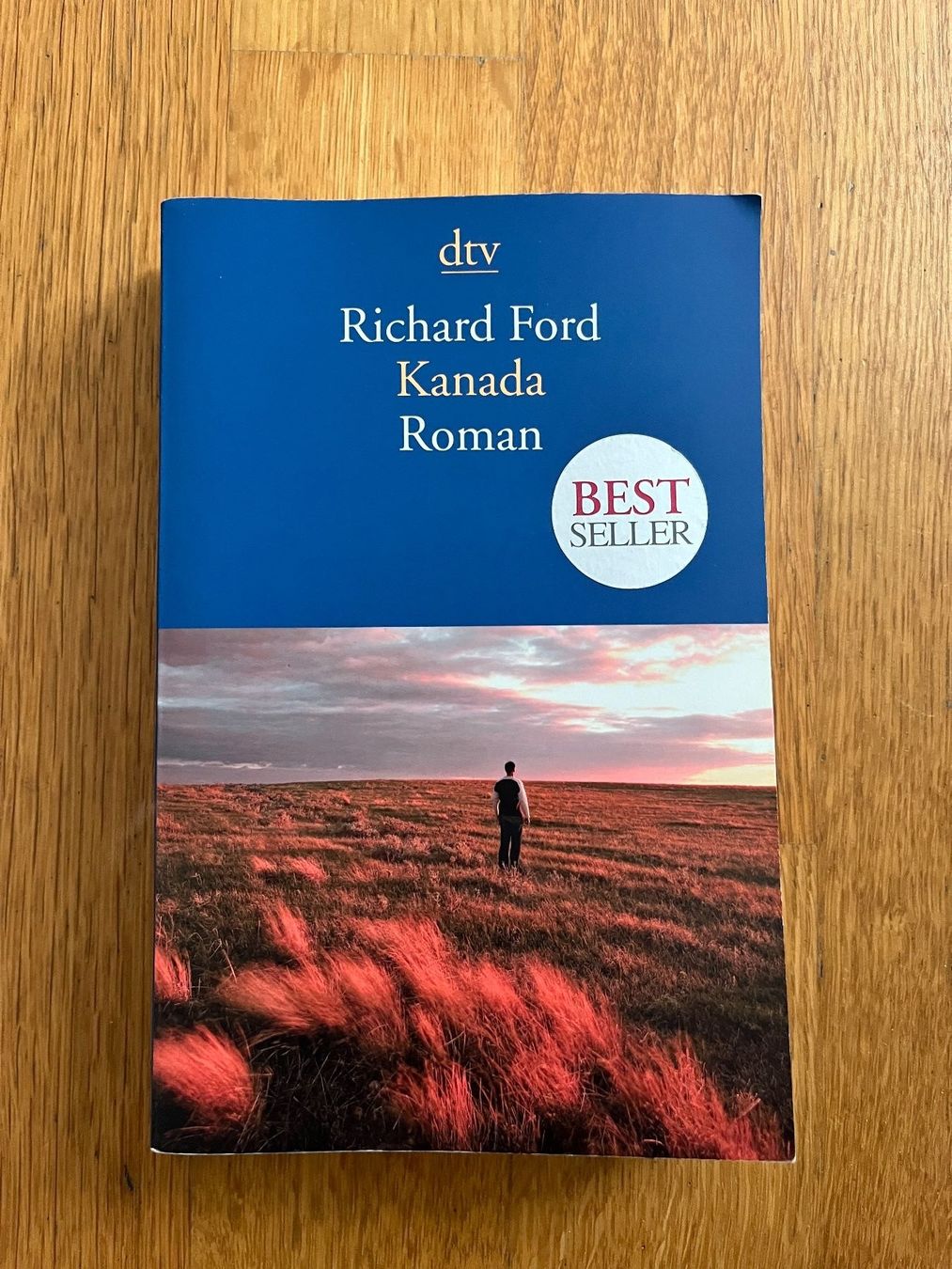 Libri: Taschenbuch "Kanada" von Richard Ford – Usato da Grosswangen venduto da Vita500
