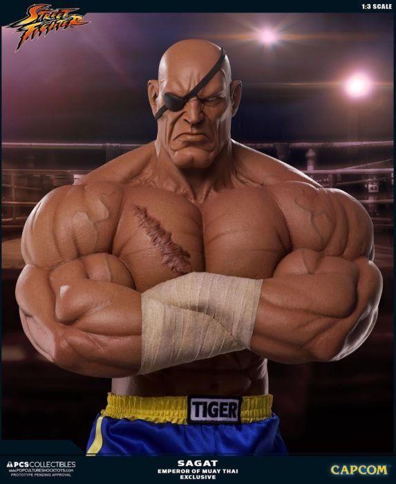 Statuette: Street Fighter Sagat – Usato da Niederrohrdorf venduto da elwey 4