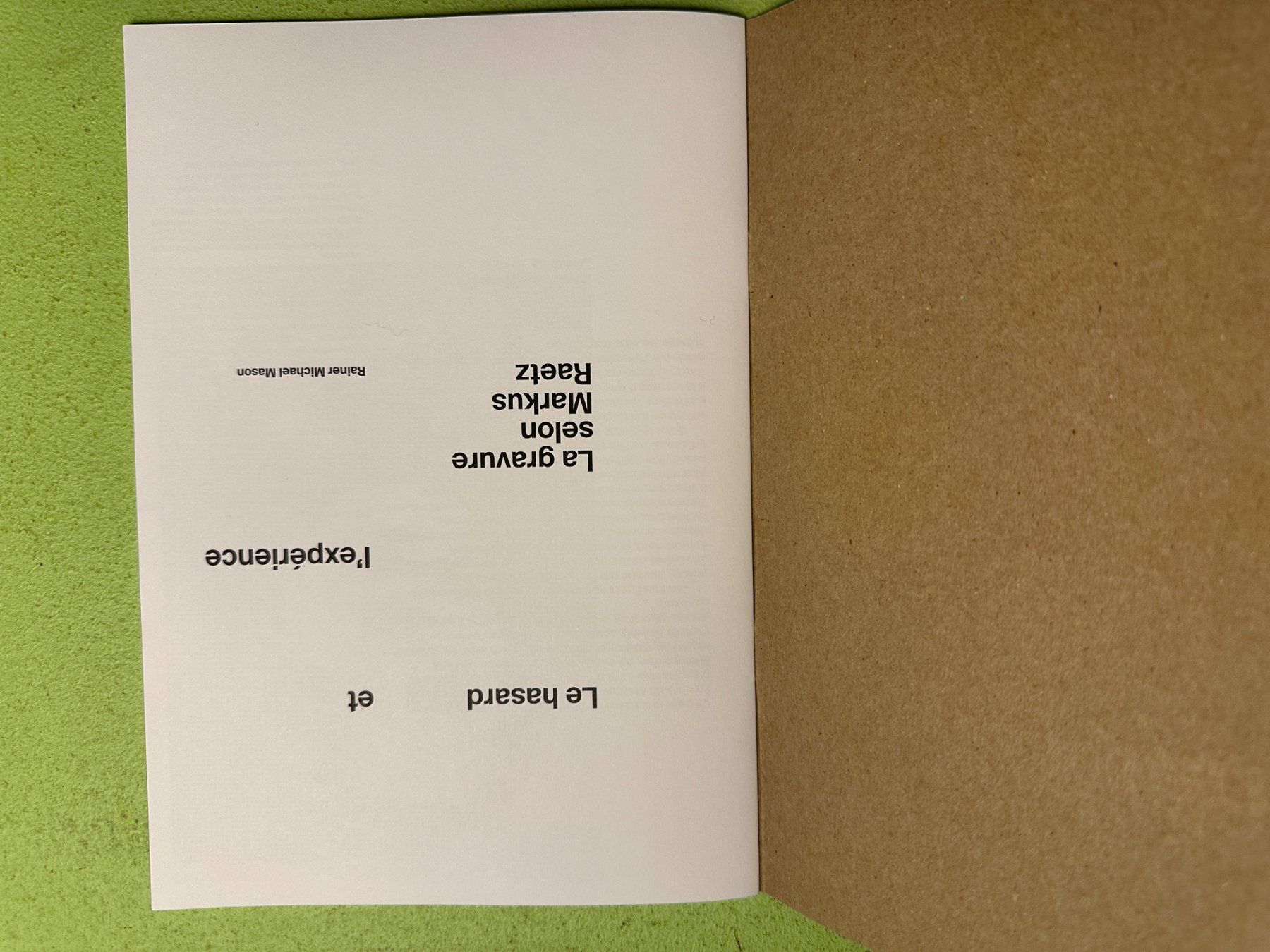 Libri: Rainer Michael Mason: La gravure selon Markus Raetz – Usato da Zürich venduto da allp 1