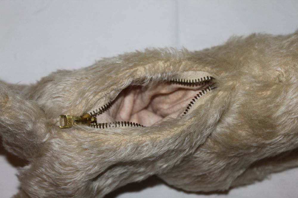 Steiff vintage Plüsch Hund mit Staufach 4