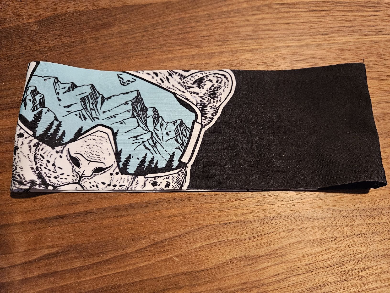 Altro in Bricolage: Dynafit Stirnband – Usato da Luzern venduto da blackcat010 2
