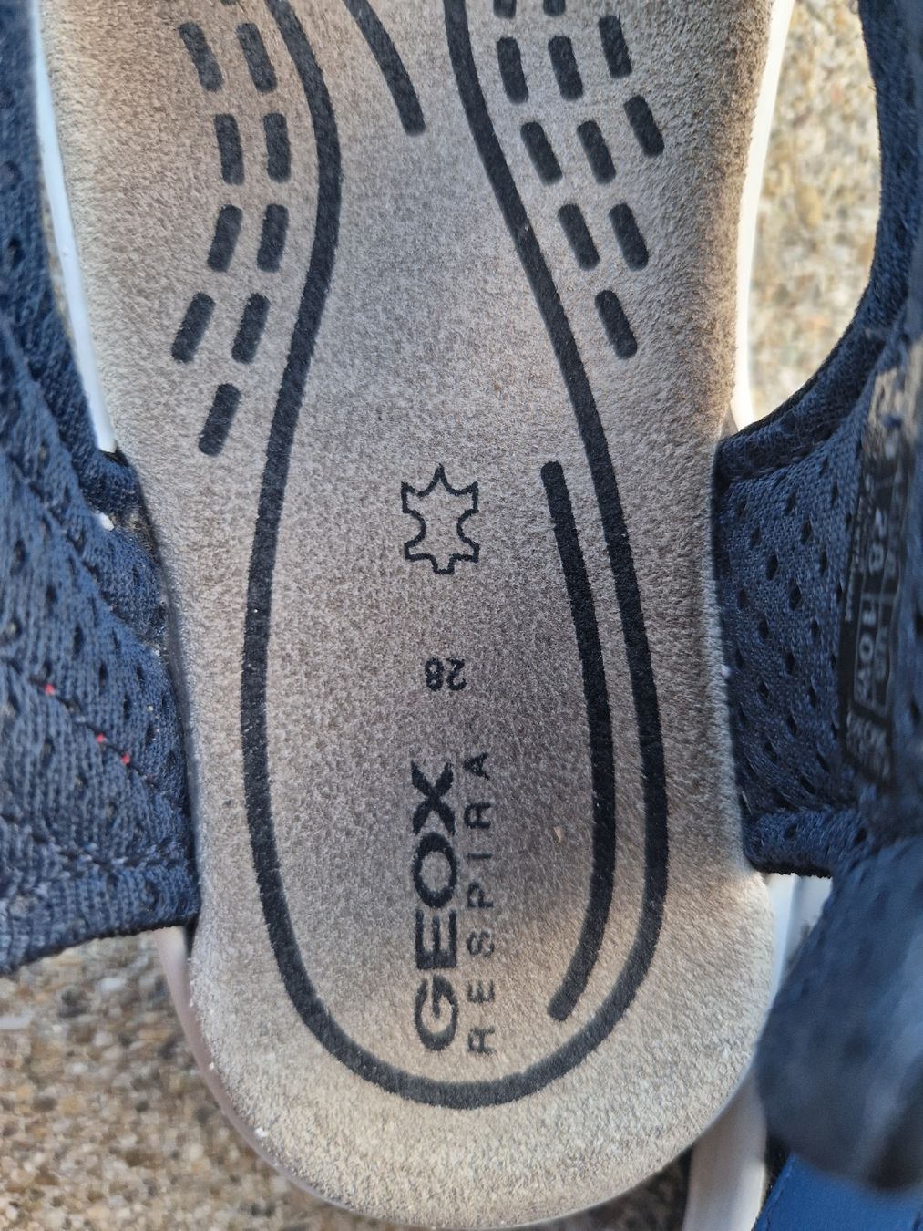 Geox Scarpe per ragazzi: Geox Sandalen Grösse 28 – Usato da Zürich venduto da nicinat 2