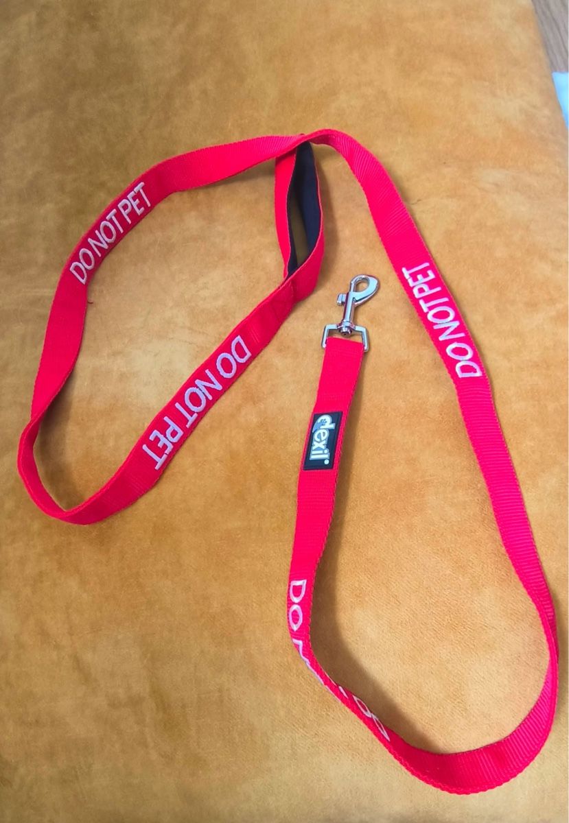 Leine & Halsband: Hundeleine – Gebraucht aus Seuzach von laj_p6gj 2