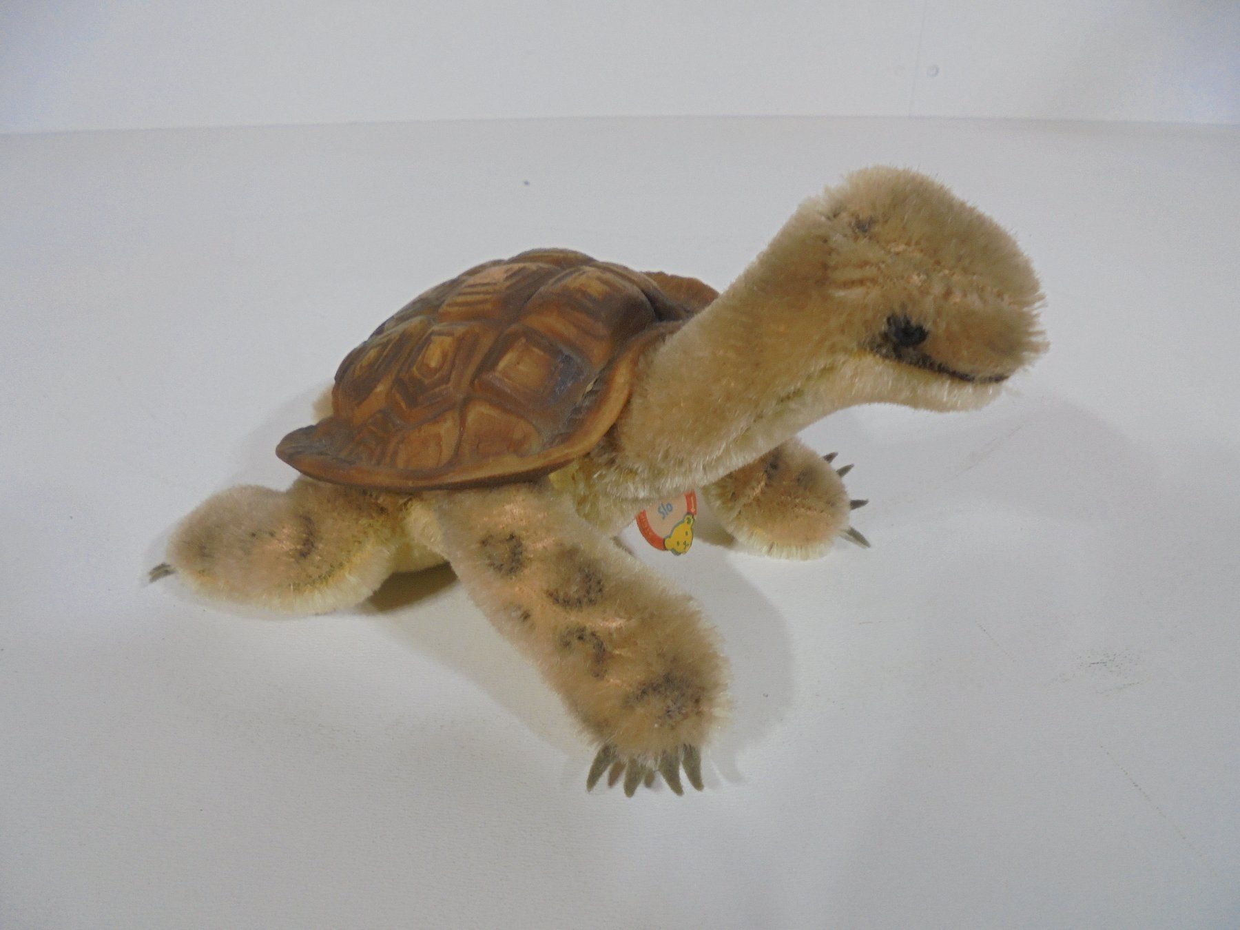 Steiff Giocattoli: antike Steiff Schildkröte – Usato da Bern venduto da Truvaille