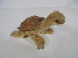 antike Steiff Schildkröte