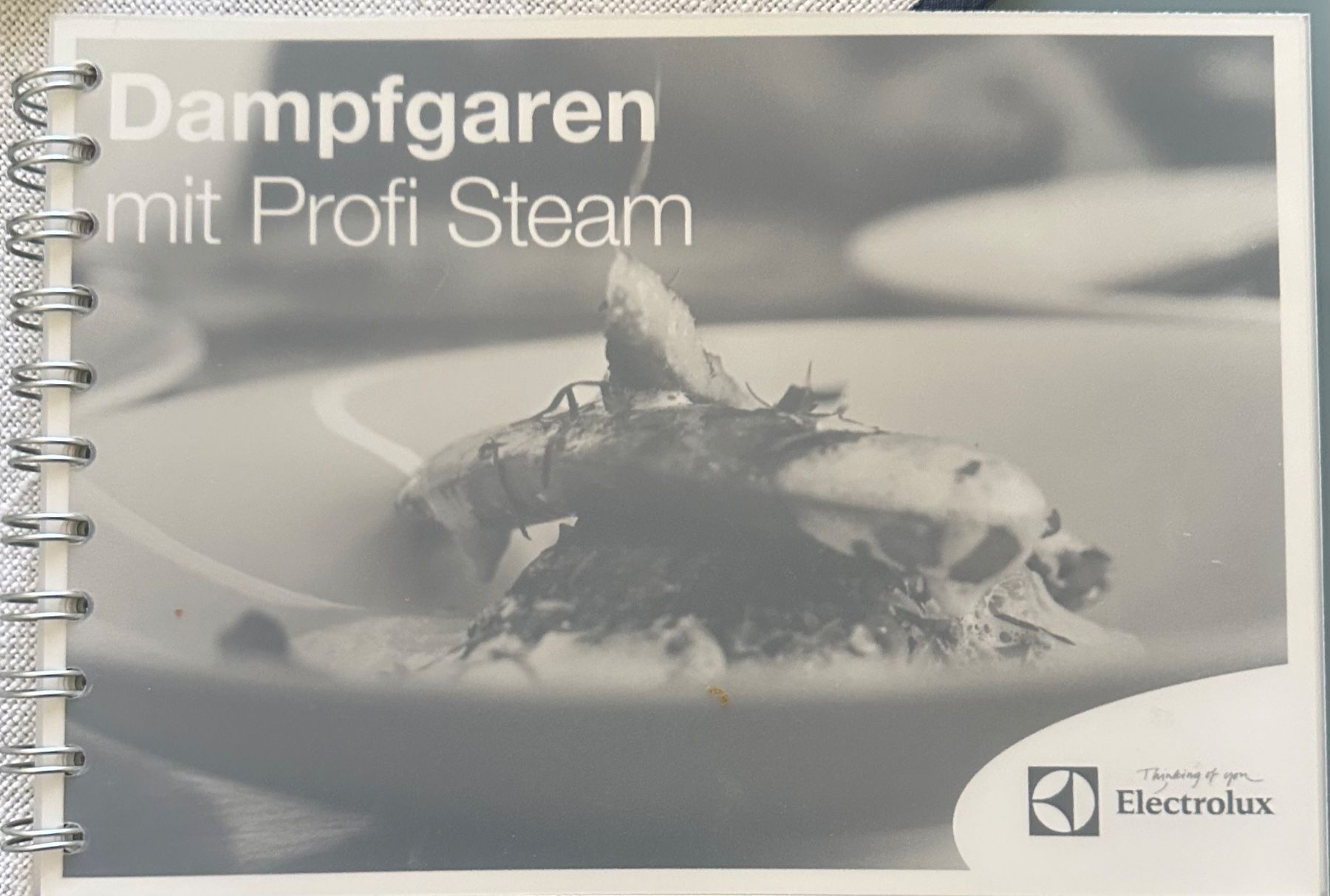 Electrolux Forni: Elektrolux Steamer Modell EBSL7 – Usato da Winterthur venduto da Akathi 3