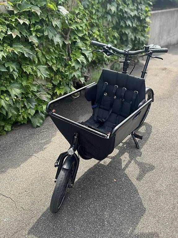 Biciclette: Muli Cycles E-Lastenfahrrad gebraucht – Usato da Zürich venduto da jos_jt5k 3