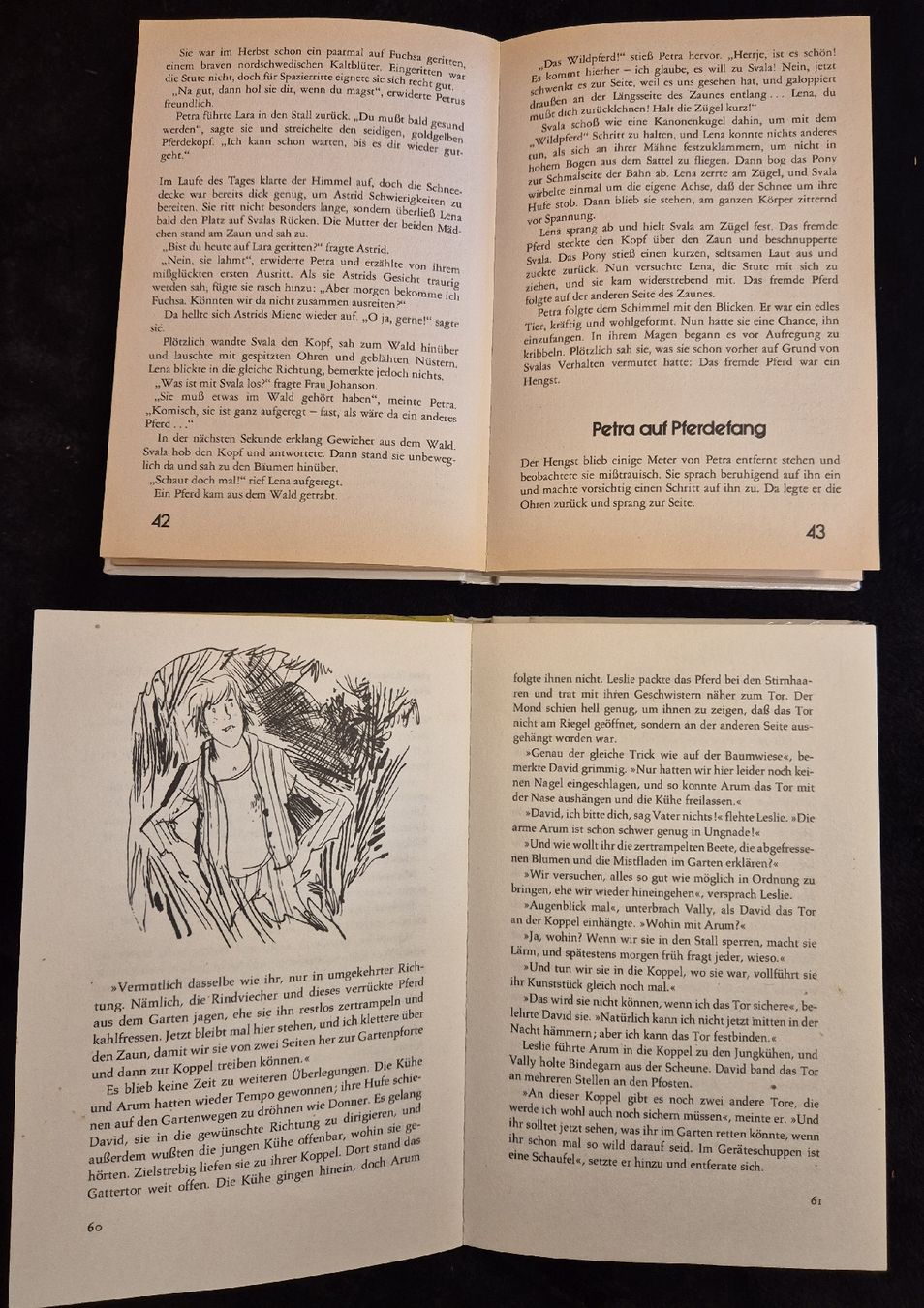 Libri: 2 Pferde-Bücher, Pferdegeschichten Set! – Usato da Halten venduto da GiMu.84 4