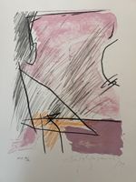 Albert Rafols-Casamada hand signed lithograph
