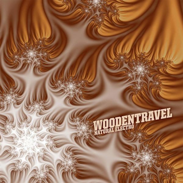 CD: Woodentravel "Natural Electro" – Usato da Zollikon venduto da cyberbambi123