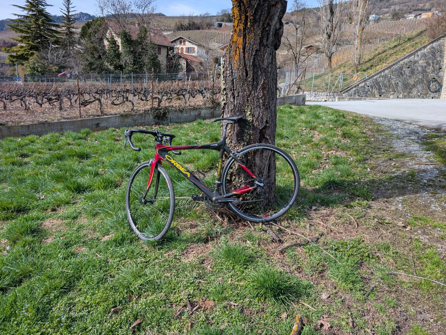 Orbea Biciclette: Vélo de route Orbea Orca – Usato da Noës venduto da Sovanes 3
