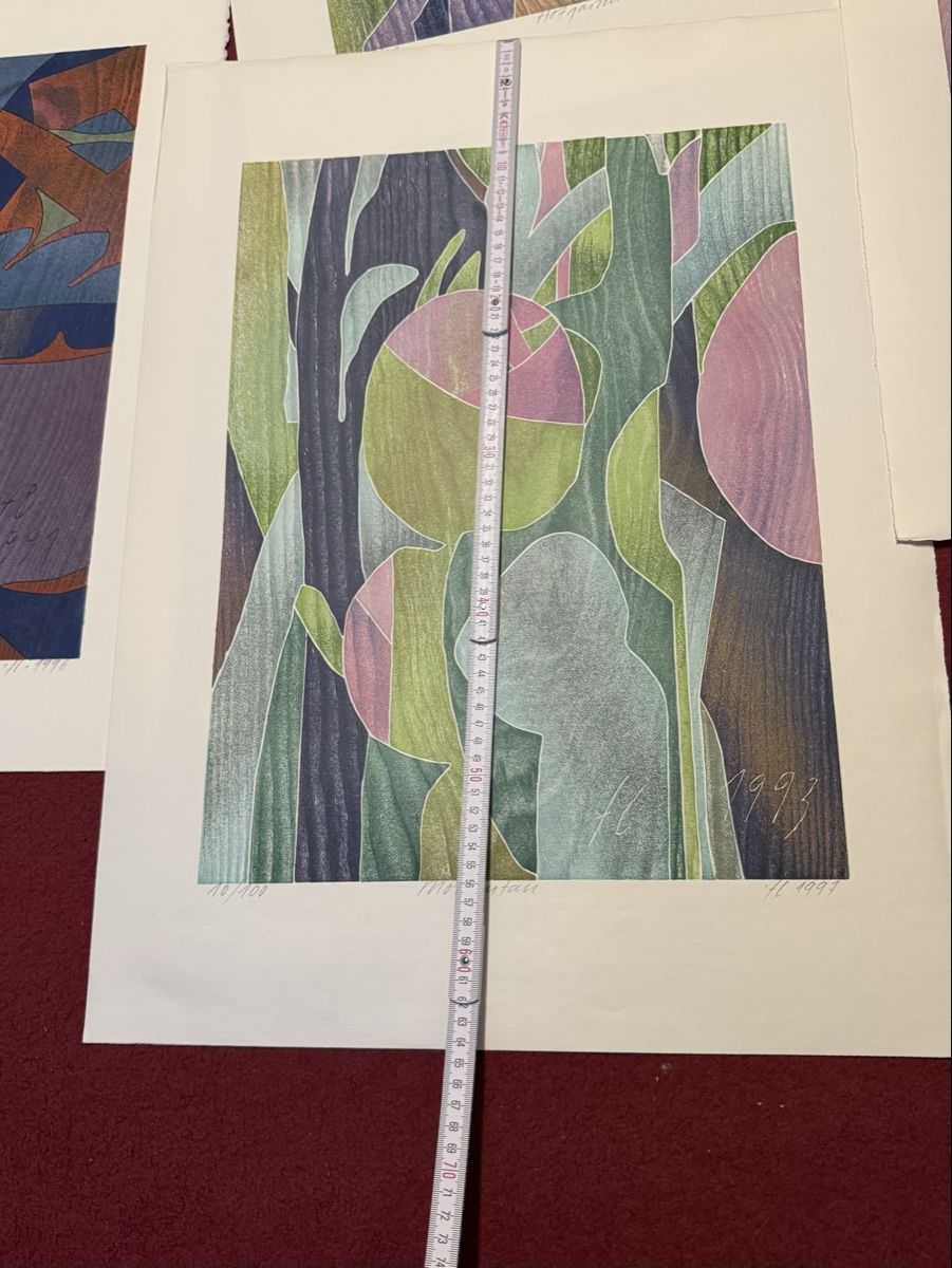 Grafiken & Lithographien: Lithos Hand signiertes Bilder 15 stk.  – Gebraucht aus Schlieren von Freundlich02 7