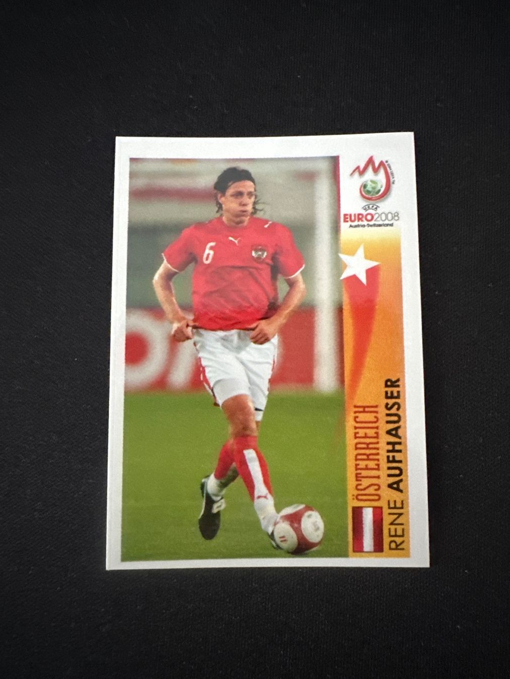Panini Carte collezionabili: Panini UEFA EM 2008 Sticker - Nr. 486 – Usato da Sulz AG venduto da DealWerk