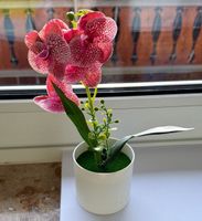 gepunktete rosafarbene künstliche Phalaenopsis-Orchidee in w