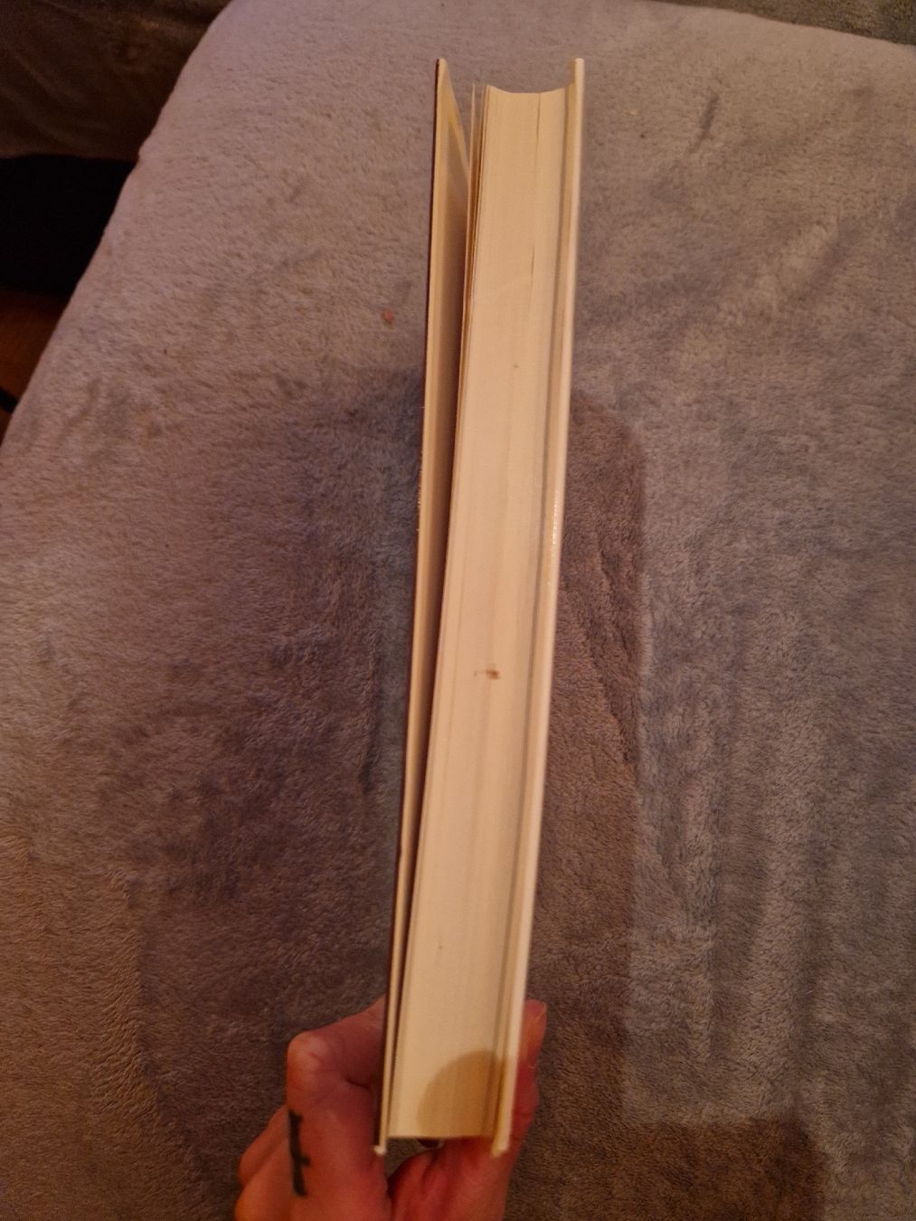 Livres: Collection Thyssen Bornemisza – D'occasion à Blignou (Ayent) par Mazikeen 1