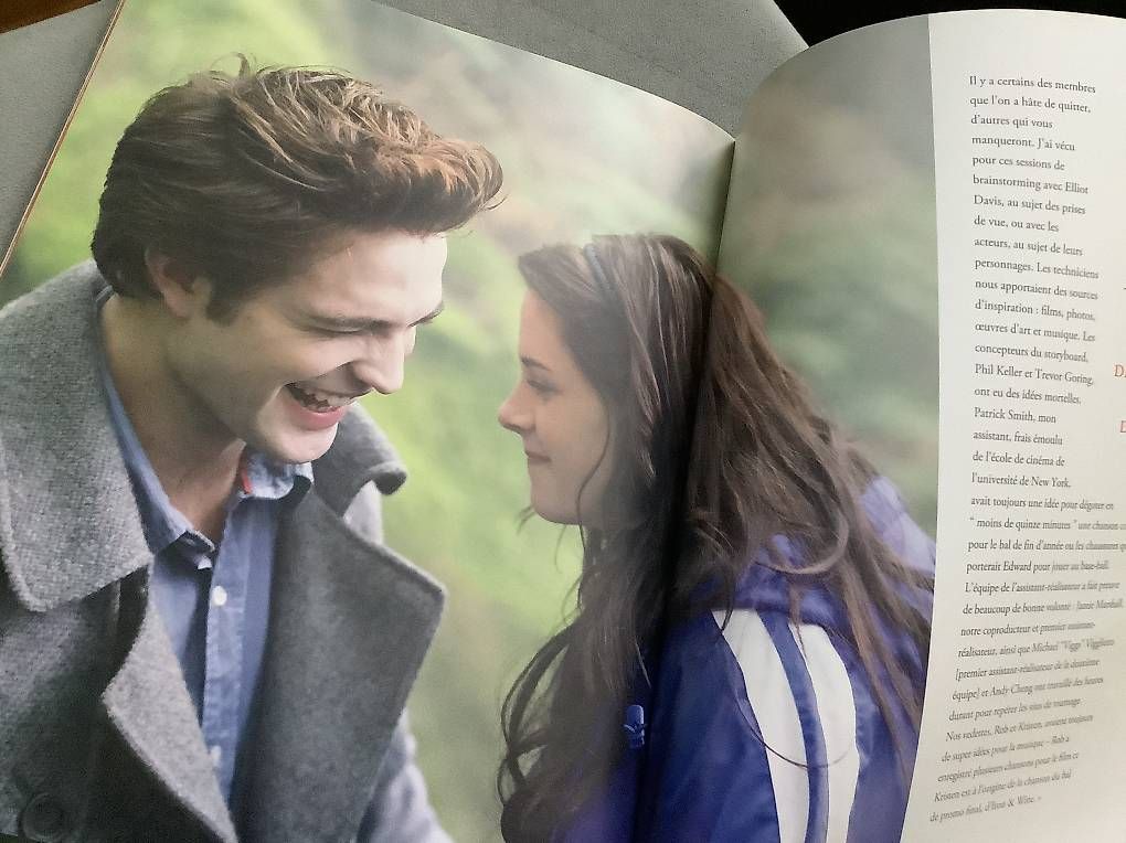 Libri: Livre Twilight neuf, 143 pages – Nuovo e nell'imballaggio originale da Icogne venduto da Juka 2