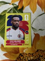 Panini Sticker FIFA World Cup 2026 Hannes Delcroix