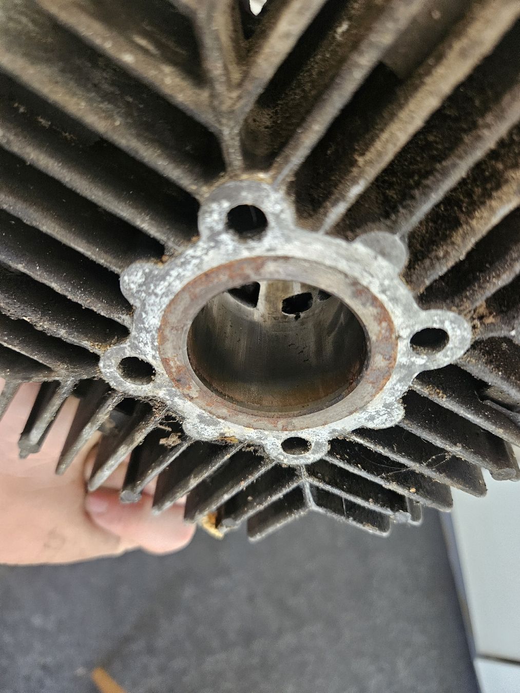Puch Parti ricambio per ciclomotori: Puch E50 KAT Zylinder – Usato da Mellingen venduto da jea_hkf9 5