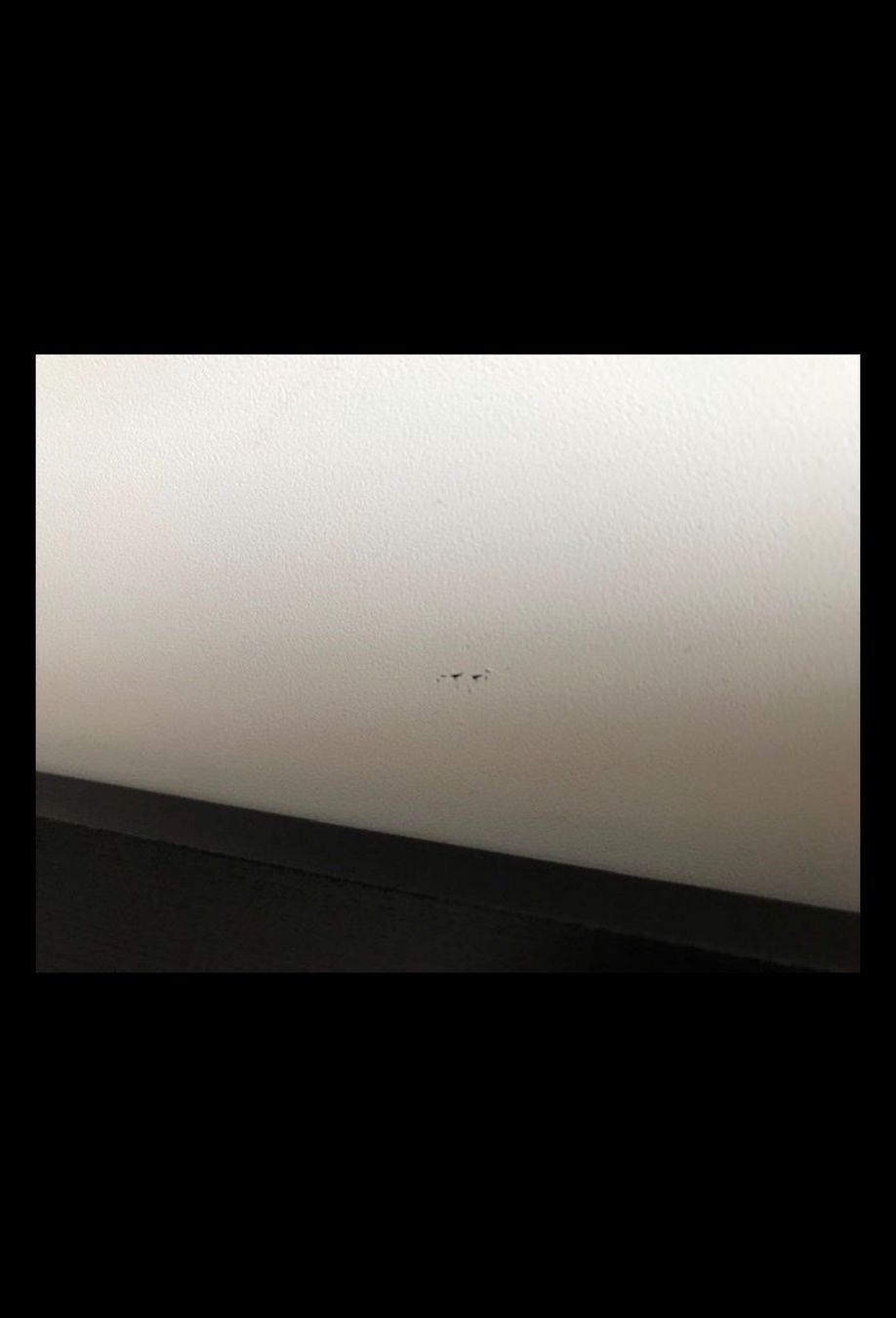 Heimkino: Heimkinoleinwand – Gebraucht aus Hochdorf von flatgago 3